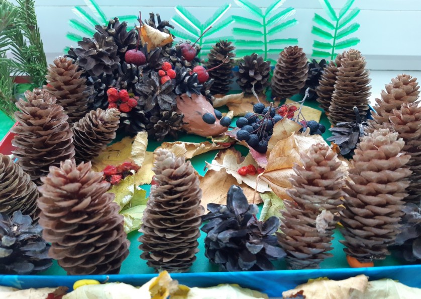Выставка поделок из природного материала в детском саду «Осенние фантазии»